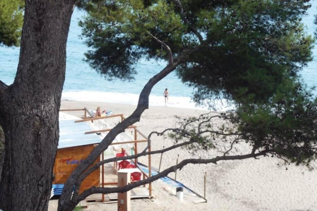 Preciosa Casa Con Piscina Al Lado De La Playa Ferienhaus *
